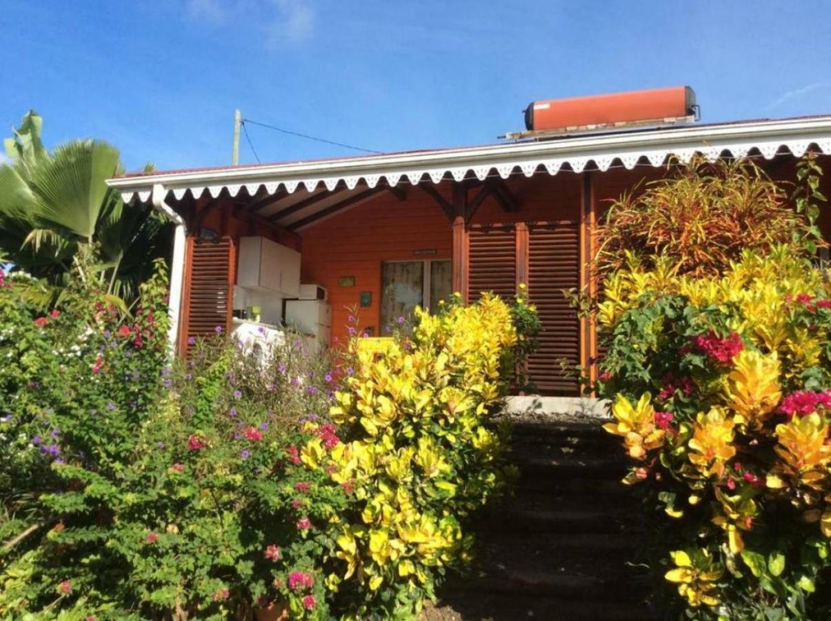 Villa Manguier Riviere-Salee Exteriör bild